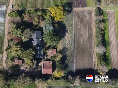 Campo Agrícolas 6 Hectáreas