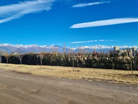 Terreno en Vista Flores