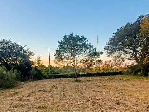 Colonia Carolina