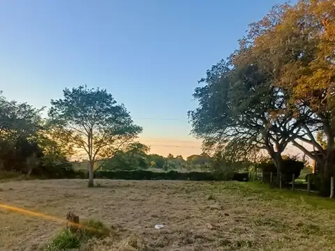 Terreno en Venta de 874,0 m2