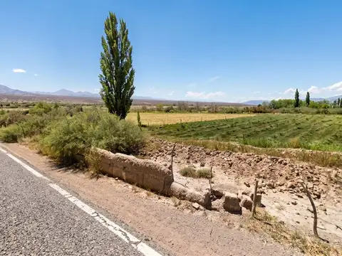 RUTA PROVINCIAL 406, LOTE N° 100