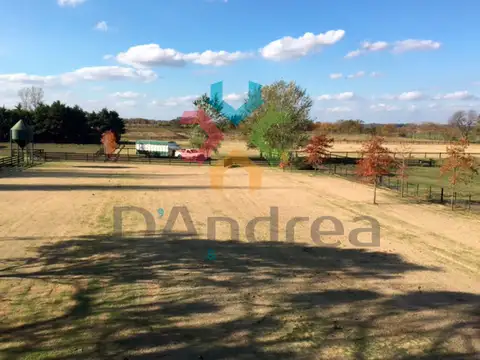 Campo en Venta Chacra