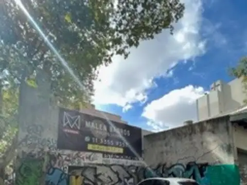 Matheu 4198