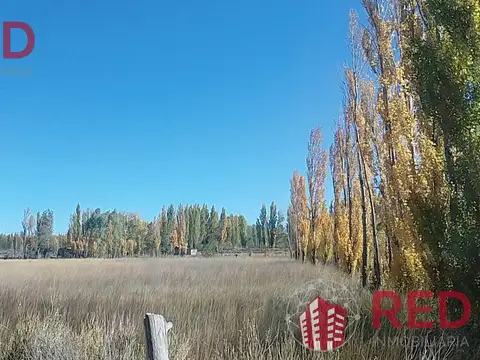 Vende Chacra en Produccion en Senillosa