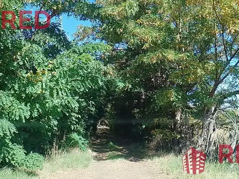 Terreno en Venta en Senillosa, USD 398.000