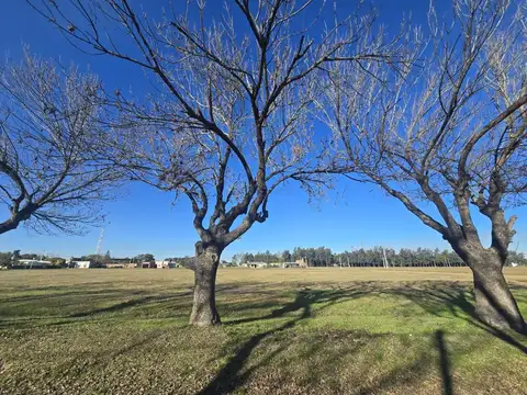 Se vende Lote en Los Laureles