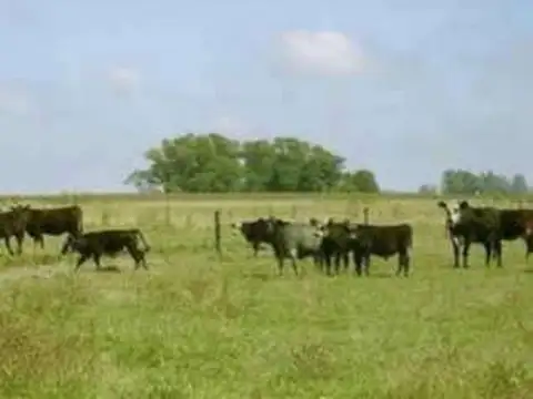 GRALVILLEGAS 1000 Has.