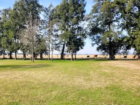 Excelentes hectáreas en San Vicente, apto desarrollos inmobiliarios, crías etc.