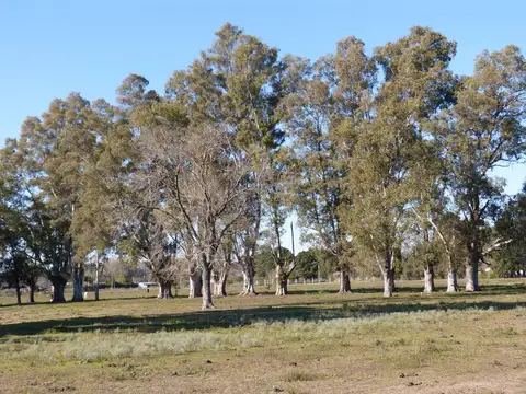 Terreno en Venta de 1728,0 m2