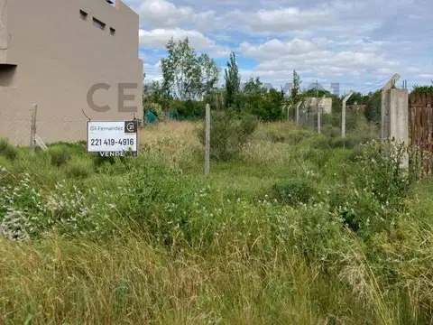 483 e/ 7 y 8 , Piso 0