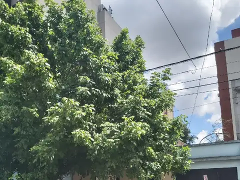 Inte Garcia Silva 500