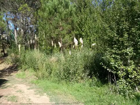 Terreno en Venta 15  mts Frente