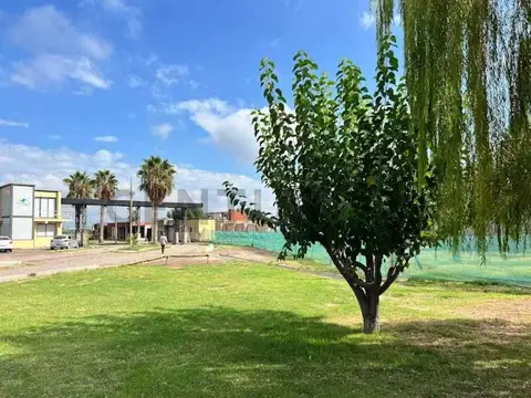 Terreno en Venta 17  mts Frente