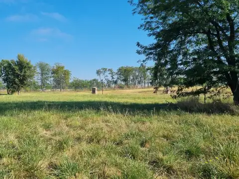 Terreno en Venta de 1607,0 m2