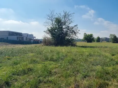 Terreno en Venta en Pilara, USD 250.000