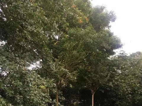 Casa en Venta 20 años