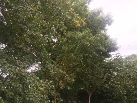 Casa en Venta al Noreste