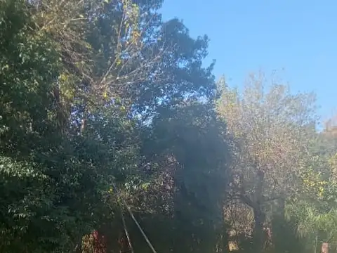 VENTA DE CASA QUINTA