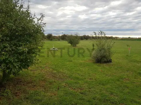 Century 21 López ofrece a la venta finca productiva de 24 hectáreas en Montecaseros, San Martín, Men