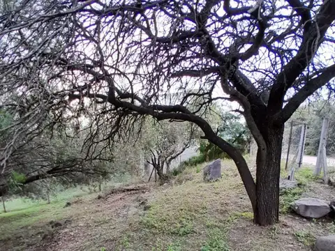 VENTA LOTE UNQUILLO 540 M2