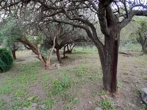 Terreno en Venta de 540,0 m2