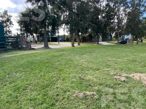 Terreno en Venta 31  mts Frente