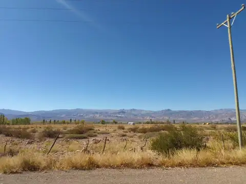 Campo en venta - 13 Hectáreas - Mendoza