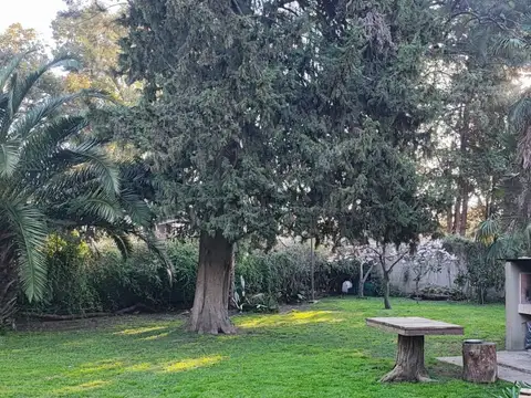 Terreno en Venta 37  mts Fondo