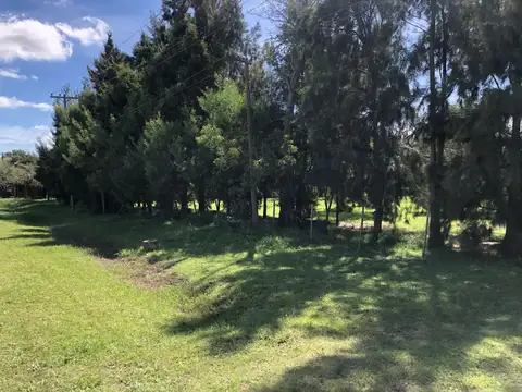 Terreno en Venta en Vieytes, USD 130.000