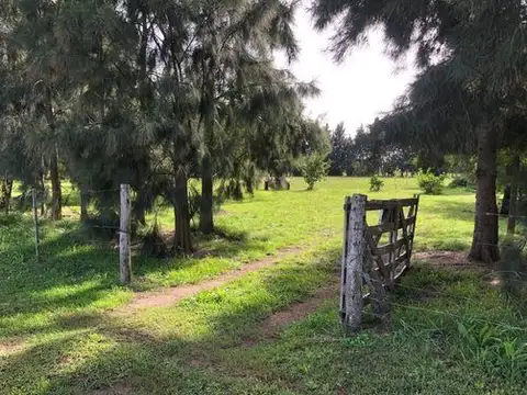 Venta de Lote en Vieytes, Magdalena