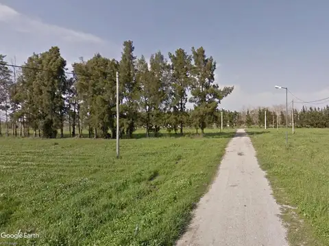 141 y 52