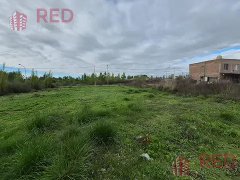Terreno en Venta - Bº La Agustina - Allen