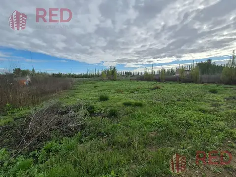 Terreno en Venta - Bº La Agustina - Allen