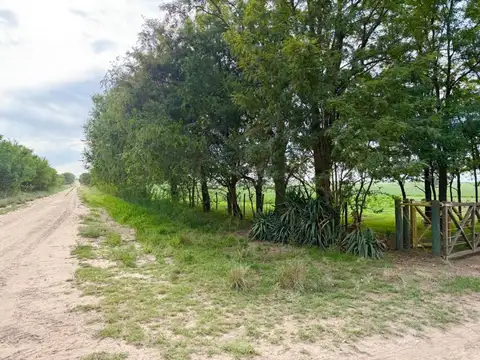 Campo mixto de 807 hectáreas en Winifreda - LP