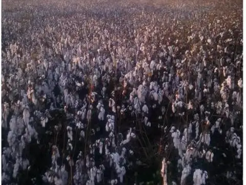 "La mal peinada"