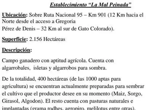 "La mal peinada"