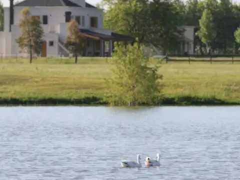 Club de Campo Las Lilas
