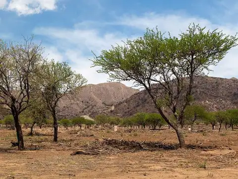 Terreno en Venta en Juana Koslay, USD 62