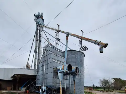 VENTA PLANTA DE ACOPIO y GALPÓN S.J.N
