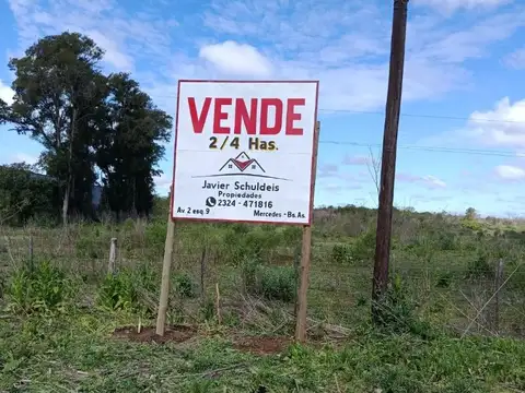Ruta 5