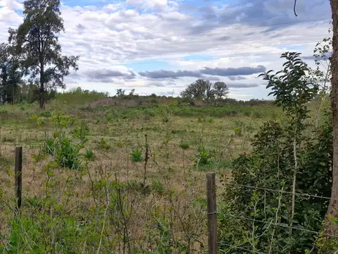 Campo en Venta de 3,80  ha