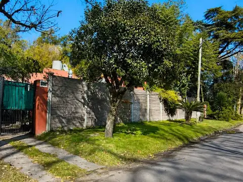 Miguel Ángel 3900
