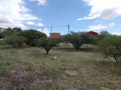 TERRENOS VENTA 300 MT2 PASEO LAS VIÑAS CAFAYATE