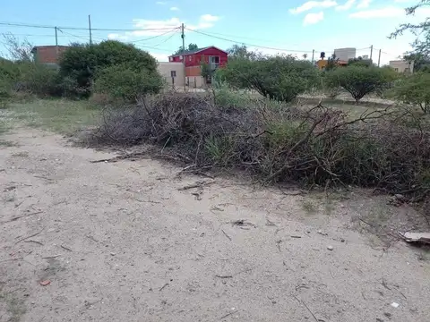 Cafayate. Paseo Las Viñas. Mza 109. Lote 100