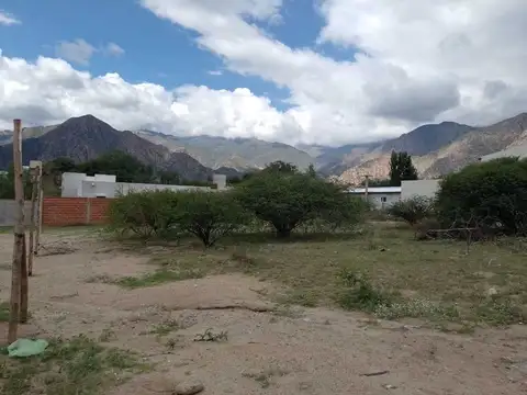 Cafayate. Paseo Las Viñas. Mza 109. Lote 100