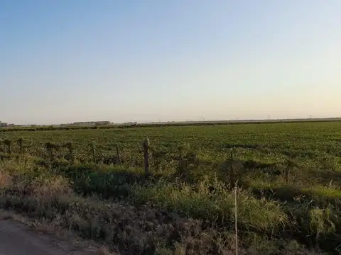 Nestor De Iriondo  3000