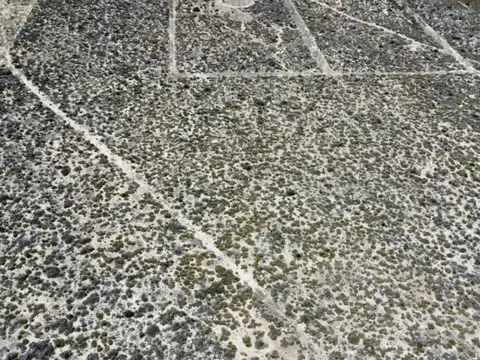 Terreno en Venta de 20000,0 m2