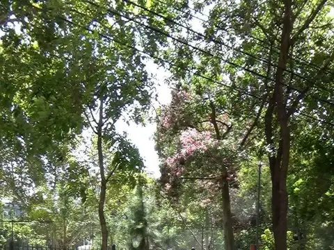 Venta Local con Renta: Adelanto y Financiamiento o Permuta