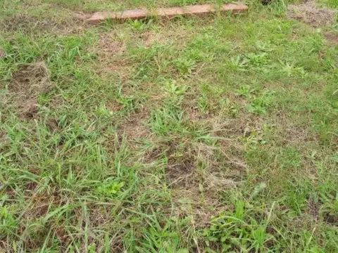 TERRENO EN VENTA CON CABAÑA - LOS PIONEROS