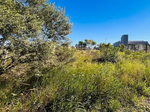 Terreno en Venta de 311,0 m2